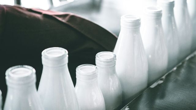 Bottles of milk in a row. 